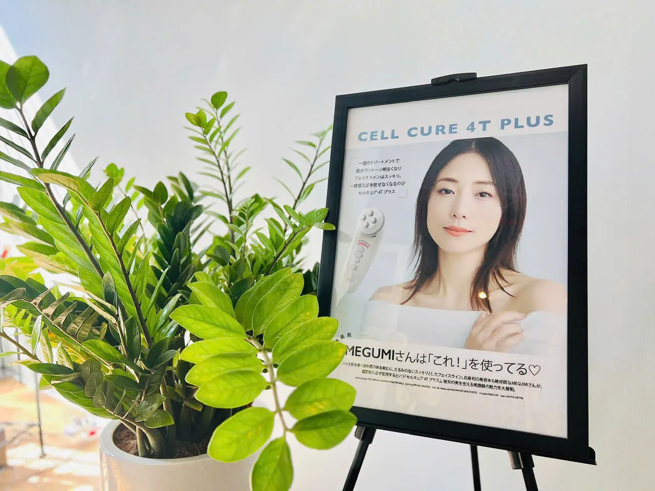 Vẻ đẹp bền vững từ bên trong